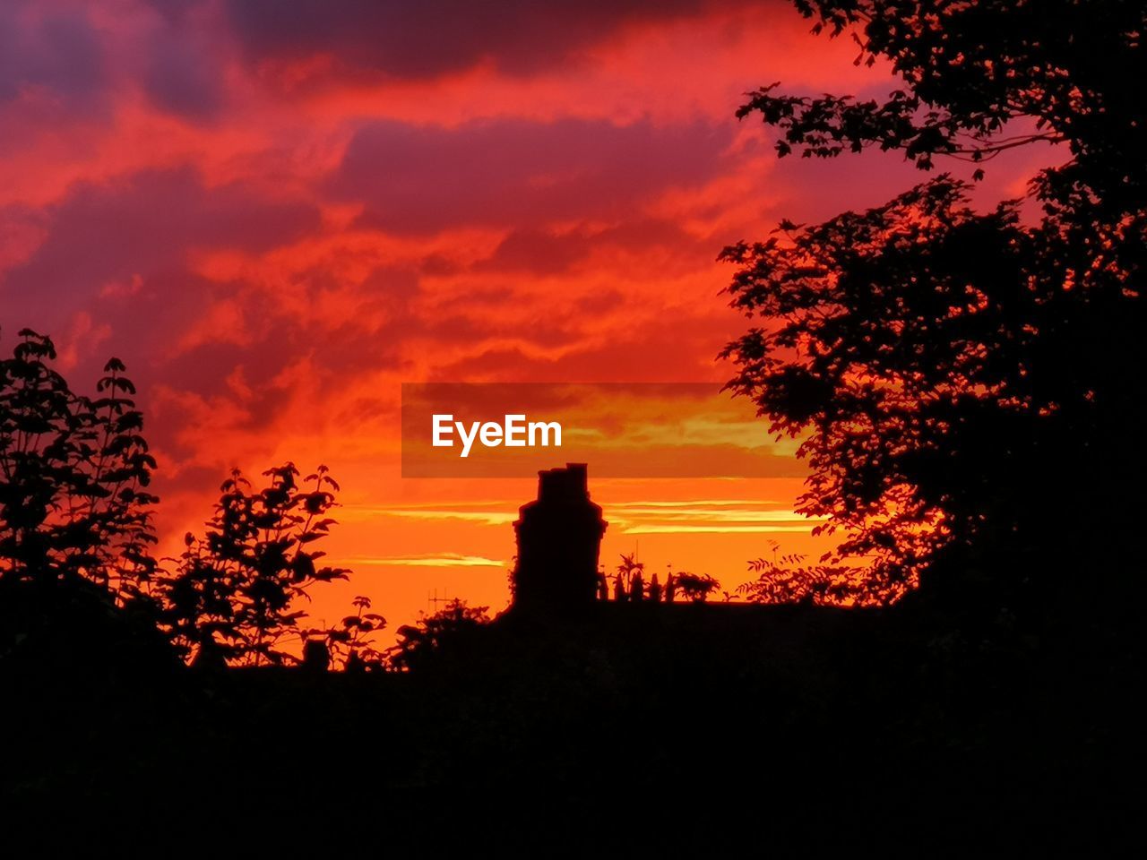 LOW ANGLE VIEW OF SILHOUETTE PLANTS AGAINST ORANGE SKY
