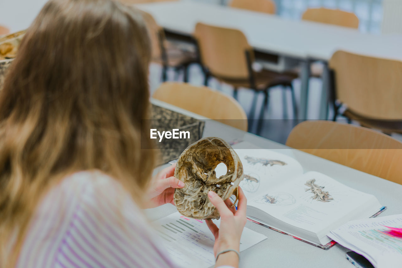 Rear view of woman holding skull at classroom