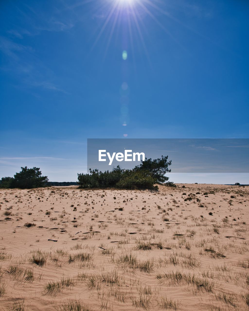 Scenic view of desert against sky