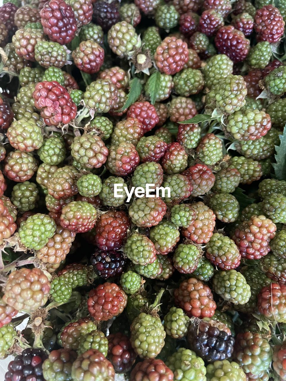 food and drink, food, healthy eating, freshness, wellbeing, fruit, plant, produce, abundance, market, large group of objects, no people, full frame, retail, for sale, backgrounds, day, green, close-up, high angle view, market stall, still life, prickly pear, outdoors, tropical fruit, directly above, nature, business