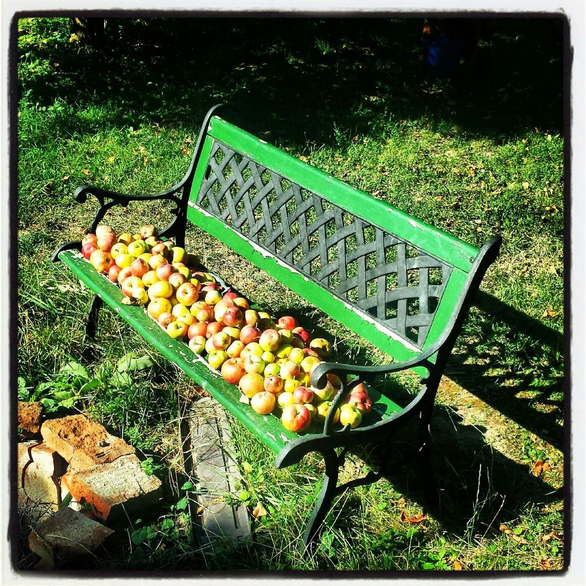 High angle view of apples on green bench