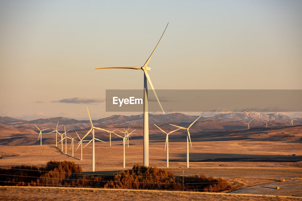 Wind turbines in a field with clear sky