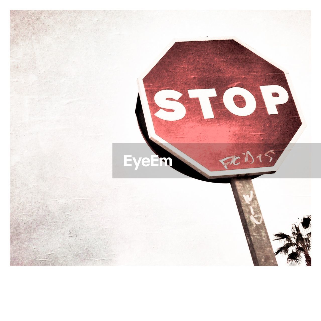 Low angle view of stop sign against sky