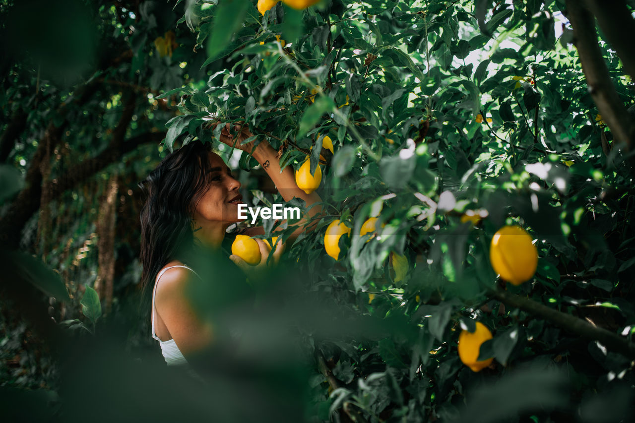 FULL LENGTH OF YOUNG WOMAN HOLDING ORANGE TREE