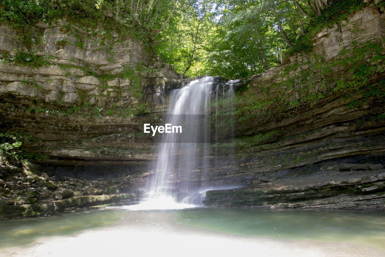 Scenic view of waterfall in forest