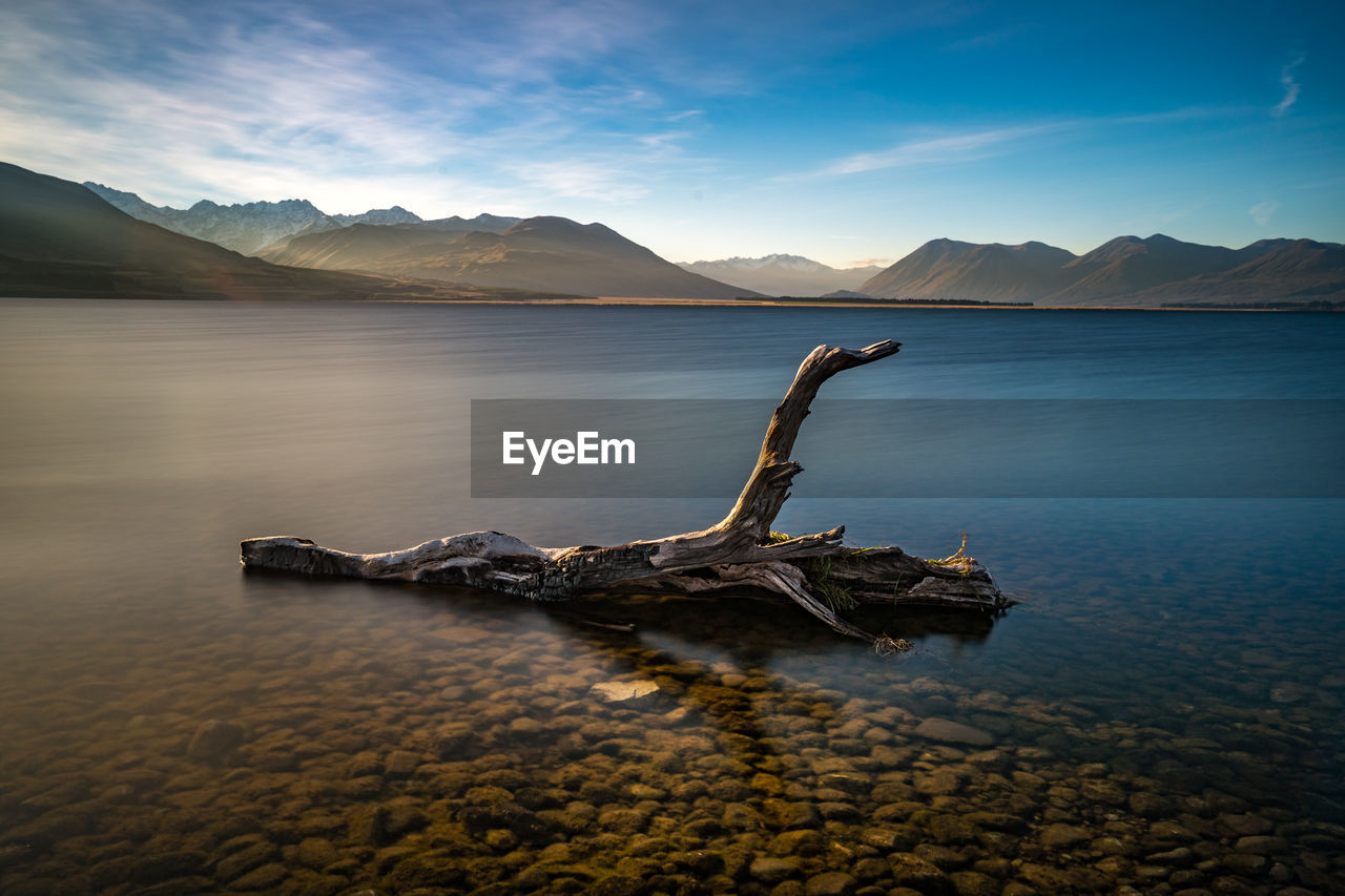 Driftwood by lake against sky