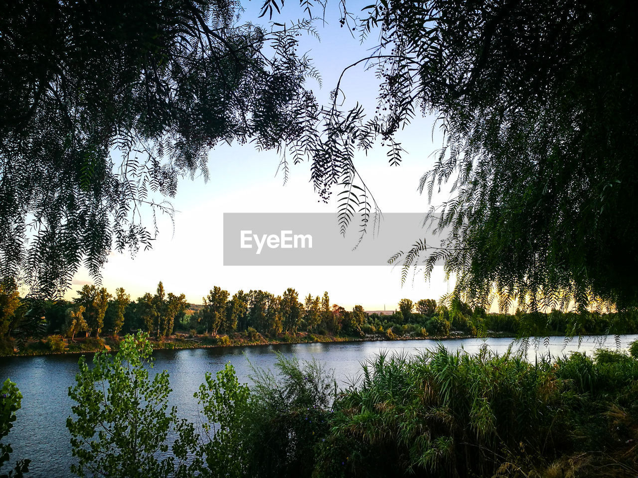 REFLECTION OF TREES IN LAKE AGAINST SKY