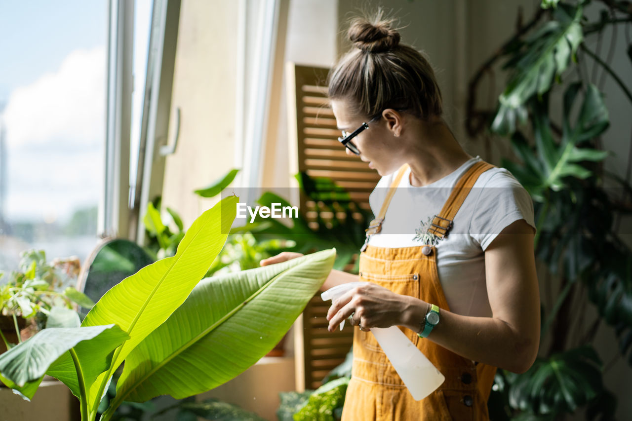 Woman gardener in orange overalls spraying banana palm houseplant, moisturizes leaves. defocused.