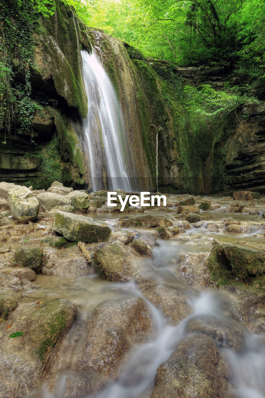 VIEW OF WATERFALL IN FOREST