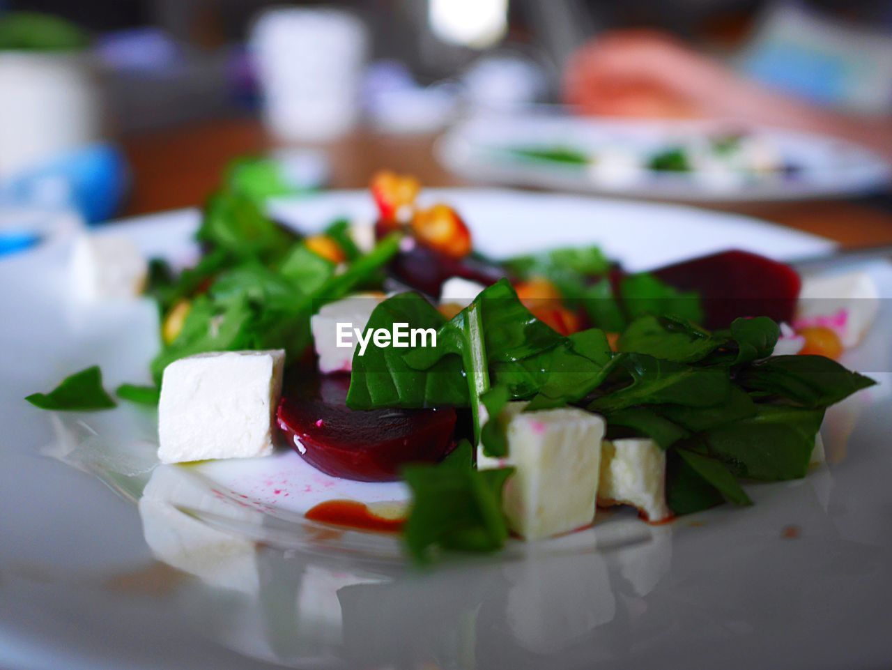 Close-up of food
