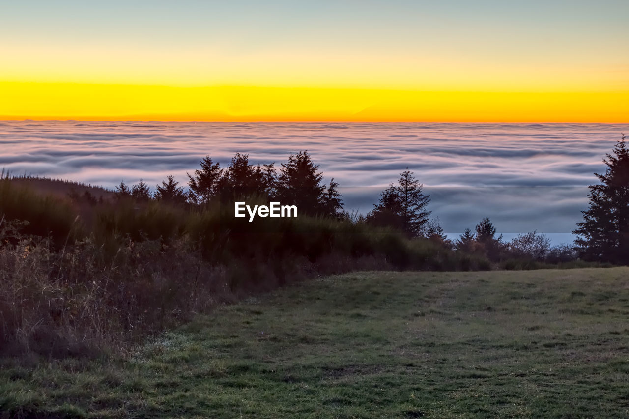 Scenic view of field against sky during sunset