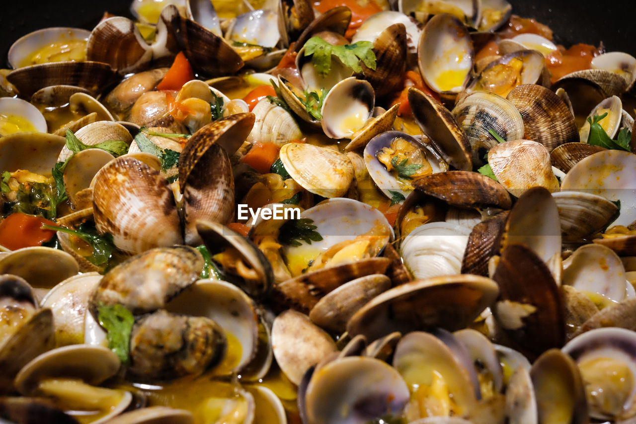 Full frame shot of clams