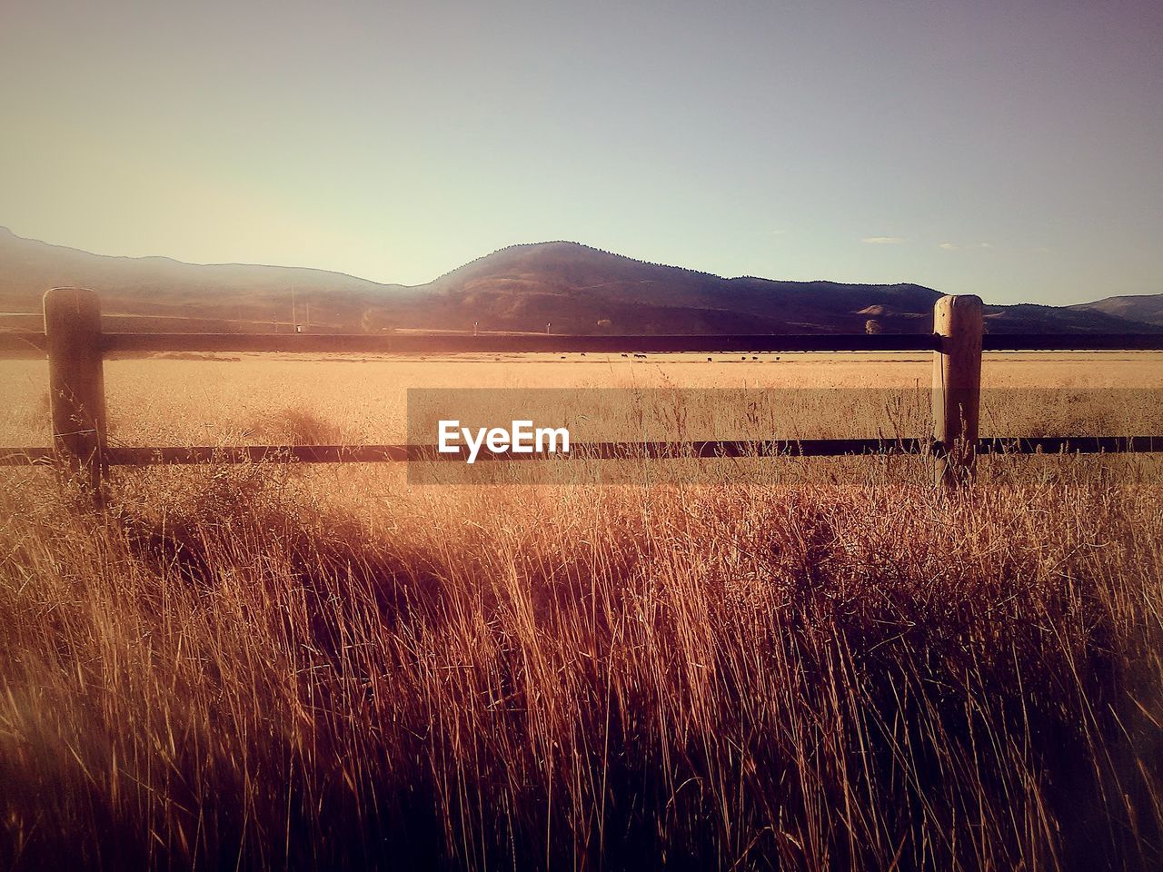 LANDSCAPE AGAINST CLEAR SKY