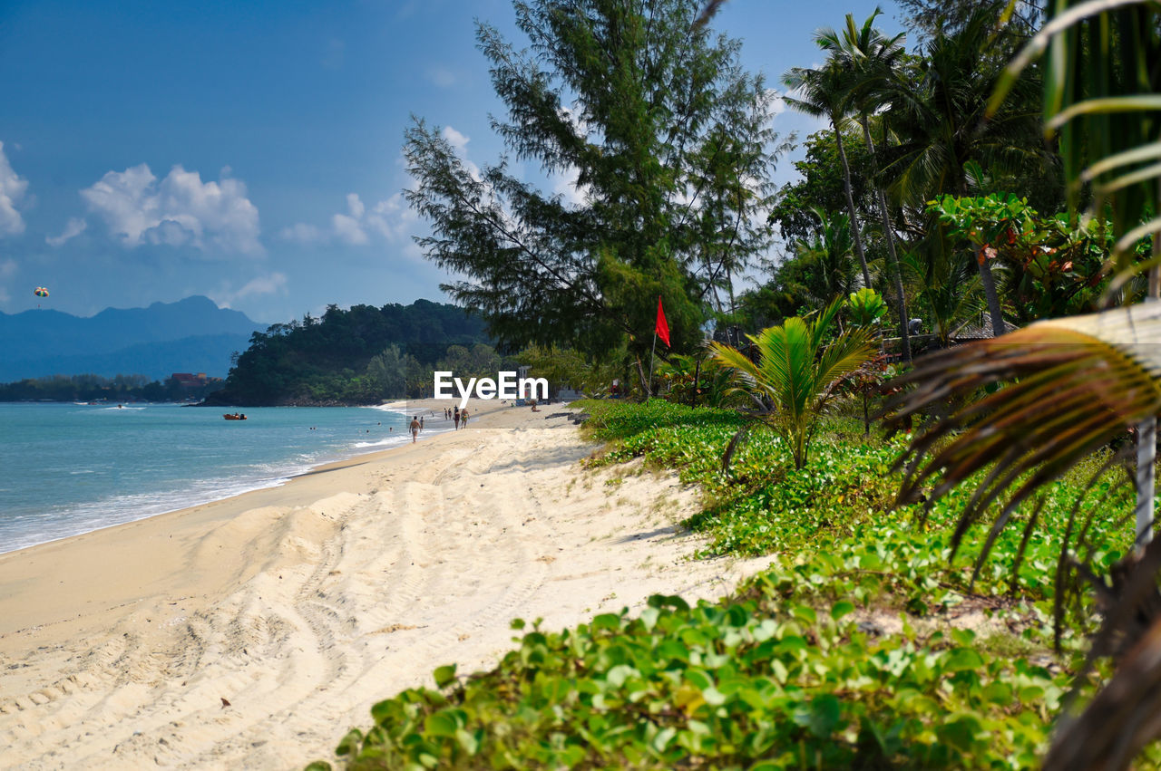 Waves of the azure andaman sea under the blue sky reaching the shores of cenang beach in langkawi