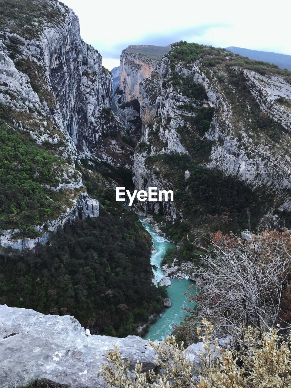 SCENIC VIEW OF WATERFALL