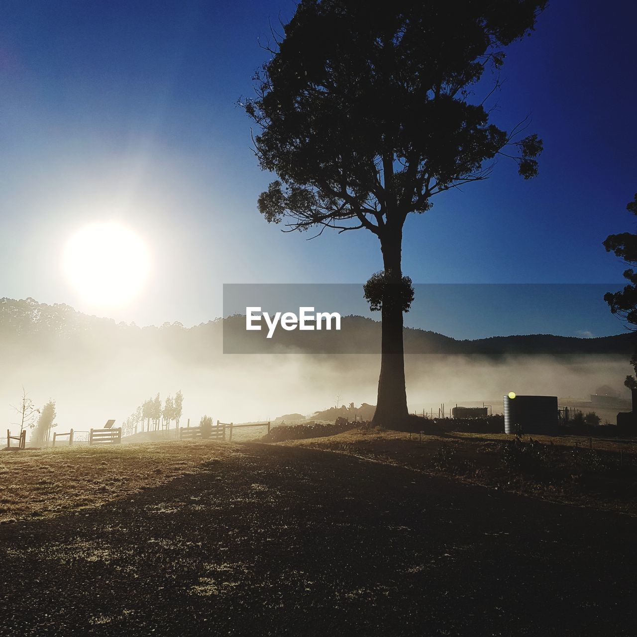 SILHOUETTE TREES ON FIELD AGAINST SKY AT SUNRISE