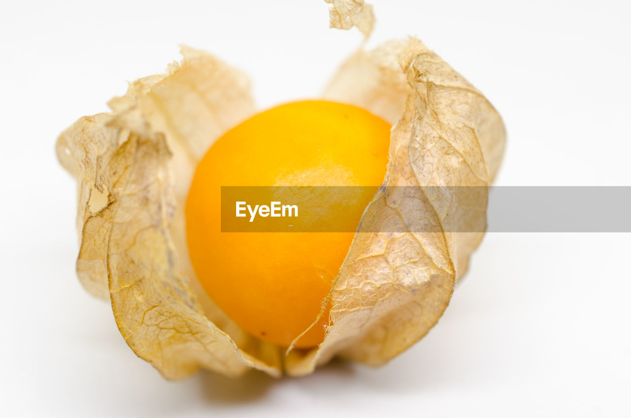 HIGH ANGLE VIEW OF LEMON SLICES ON WHITE