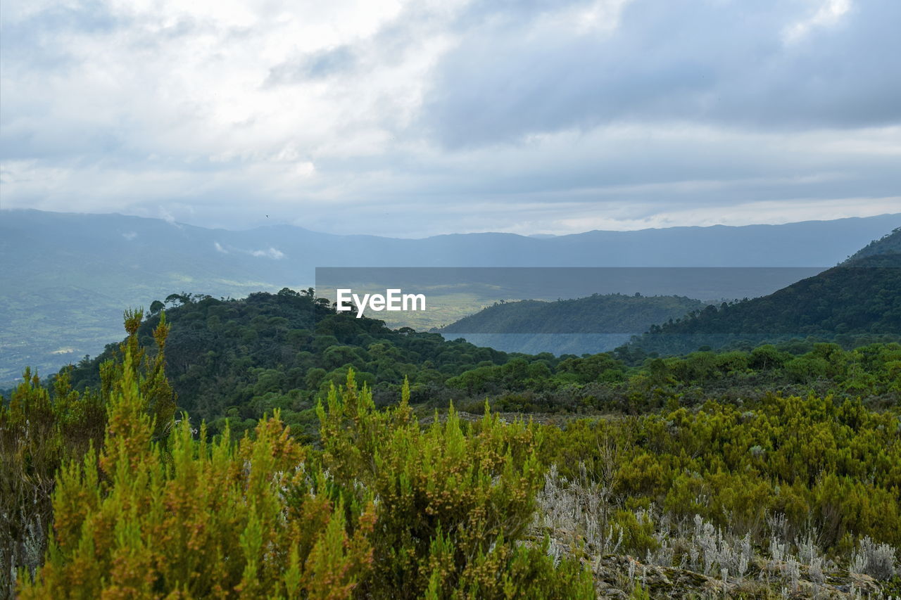 Scenic view of trees and mountains against sky