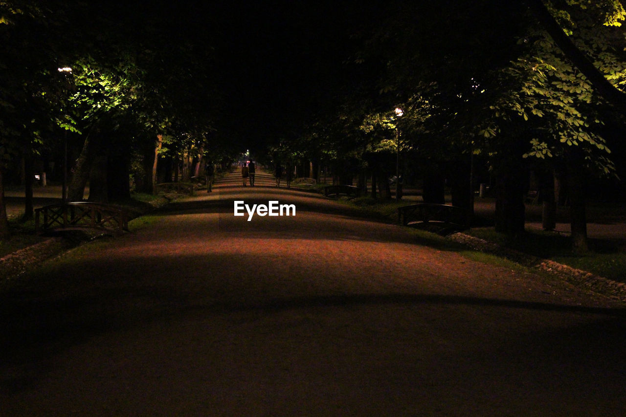 REAR VIEW OF PEOPLE WALKING ON ROAD AT NIGHT