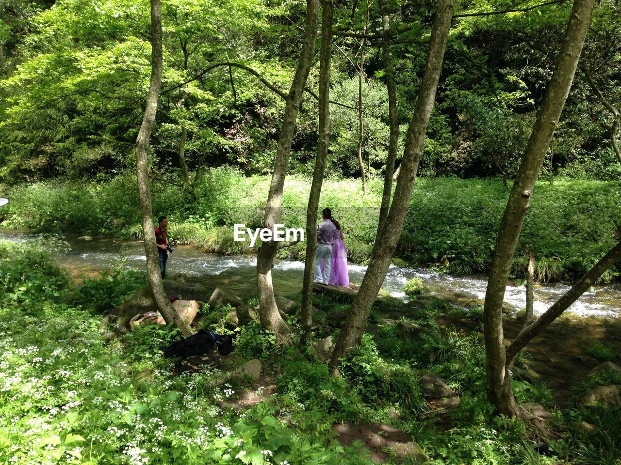 MAN STANDING ON TREE TRUNK IN FOREST