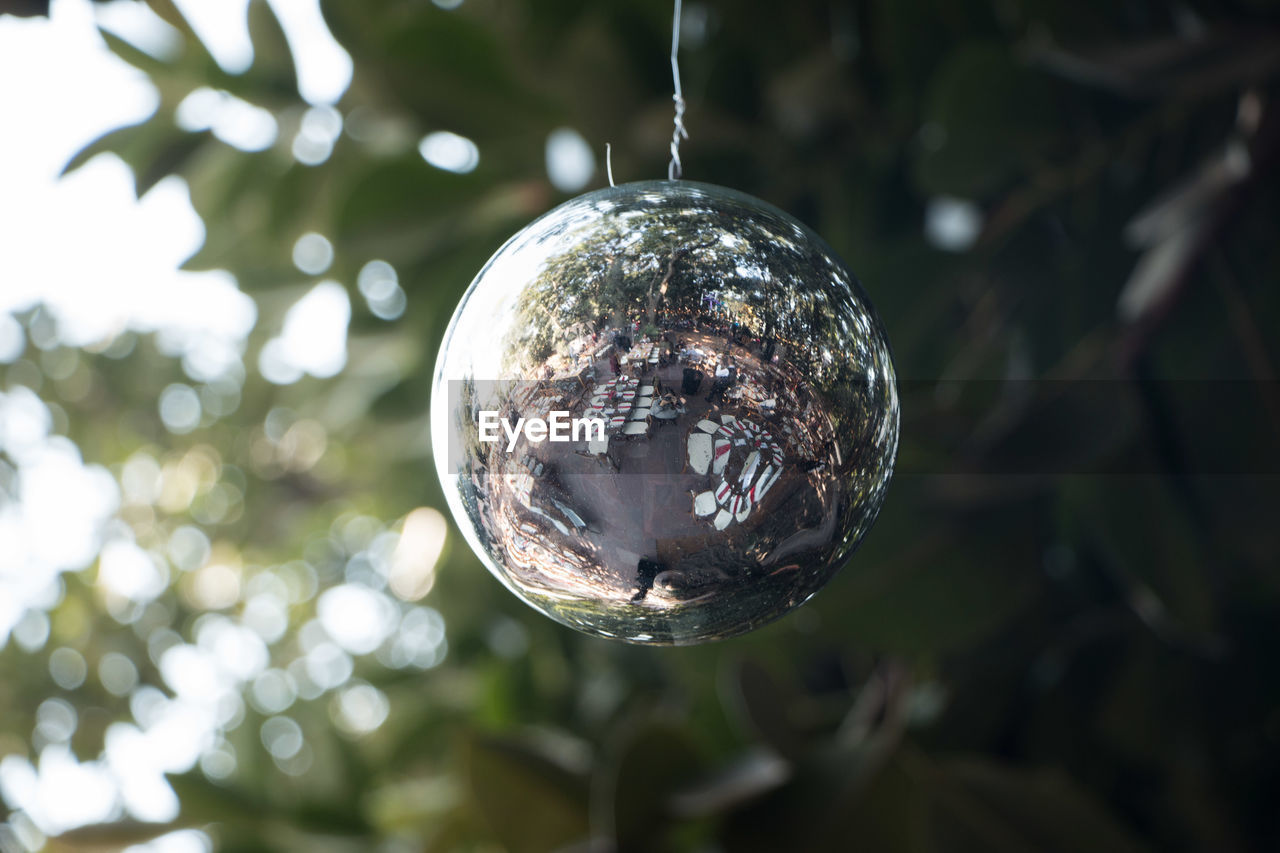 Close-up of crystal ball hanging on tree