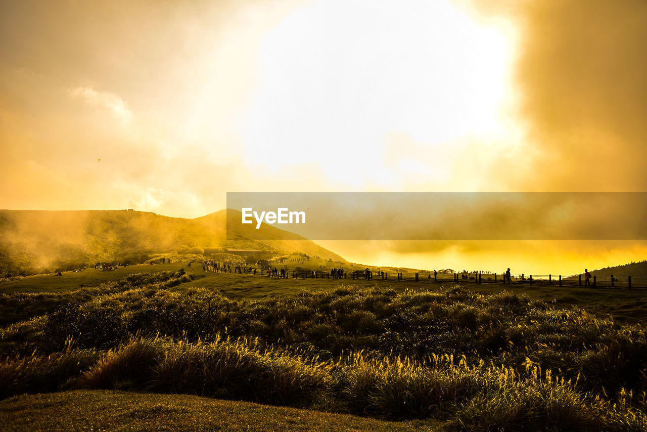 SCENIC VIEW OF FIELD AGAINST SKY AT SUNSET