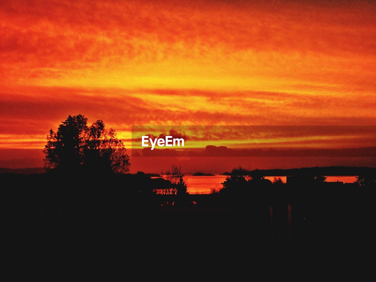 SILHOUETTE TREES ON LANDSCAPE AGAINST ORANGE SKY