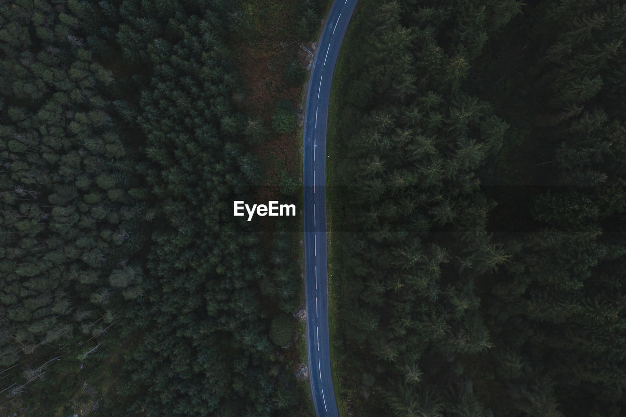 Aerial view of road amidst trees in forest