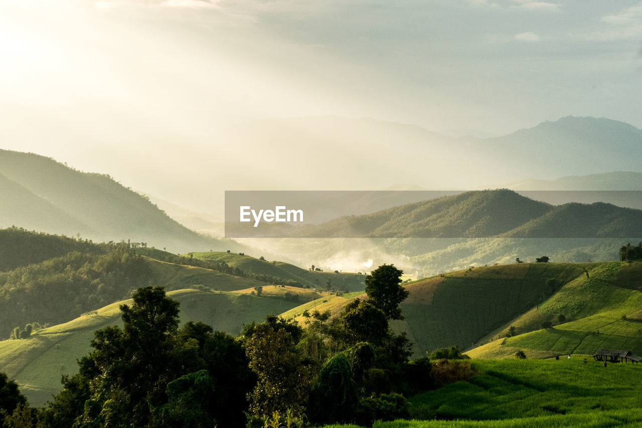 SCENIC VIEW OF TREES AND MOUNTAINS AGAINST SKY