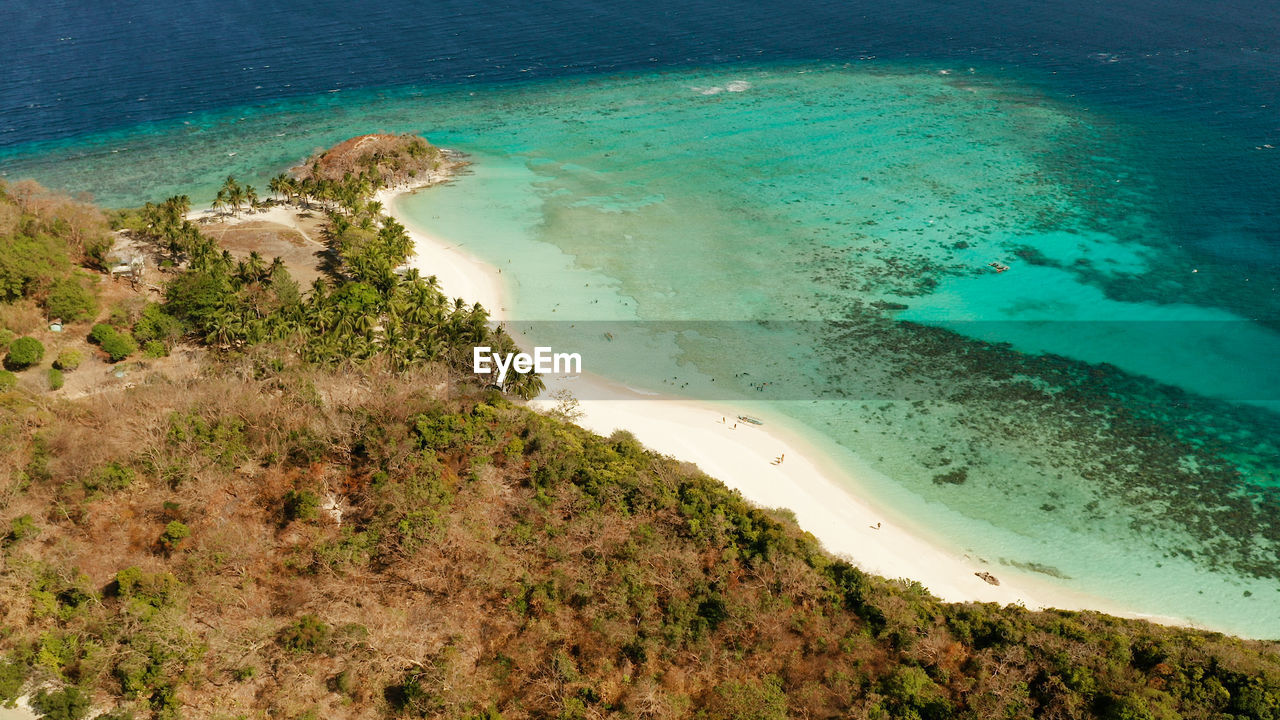Aerial view sandy beach on tropical island with palm trees and clear blue water. malcapuya, 