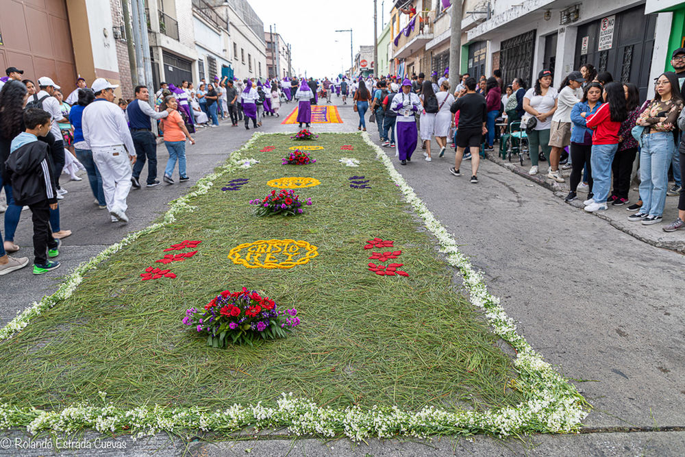 crowd, large group of people, architecture, group of people, city, building exterior, street, built structure, flower, flowering plant, men, plant, women, day, celebration, nature, adult, lifestyles, outdoors, city life, city street, leisure activity, walking, multi colored