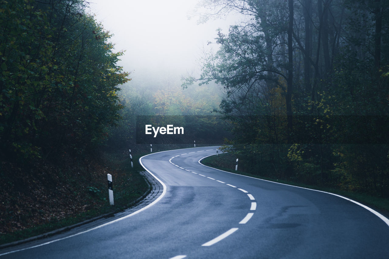 Road amidst trees during foggy weather