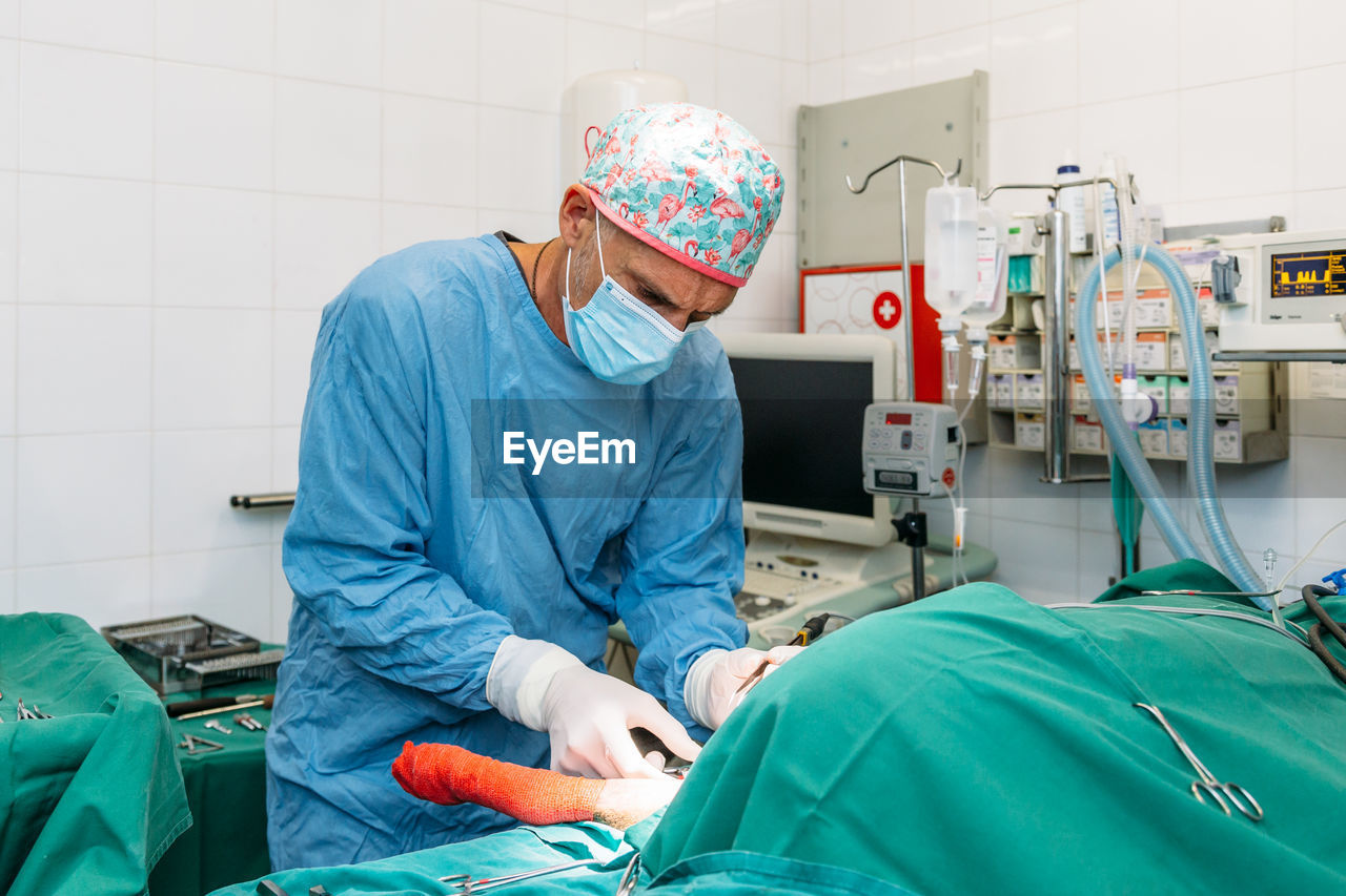 Veterinary surgeon performing a surgical procedure on a dog