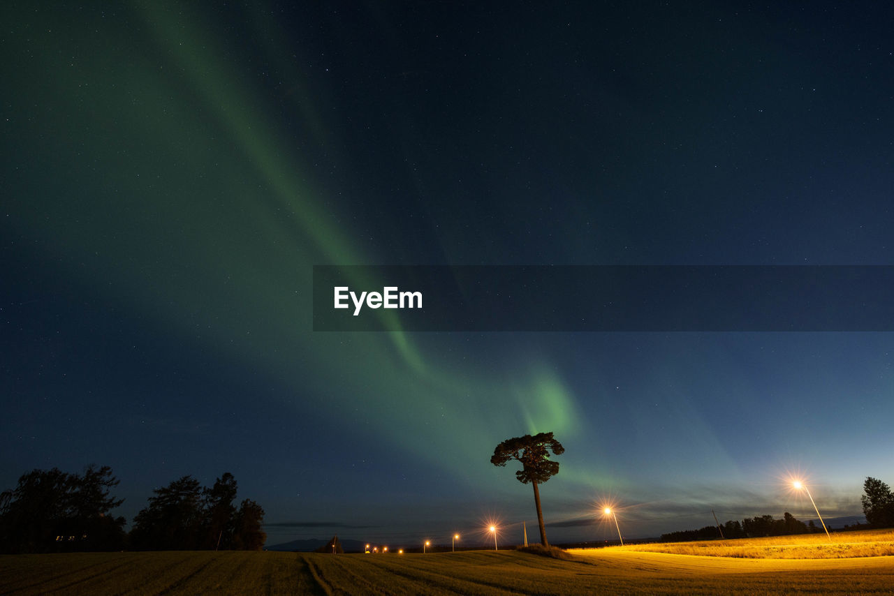 Low angle view of aurora borealis against sky at night