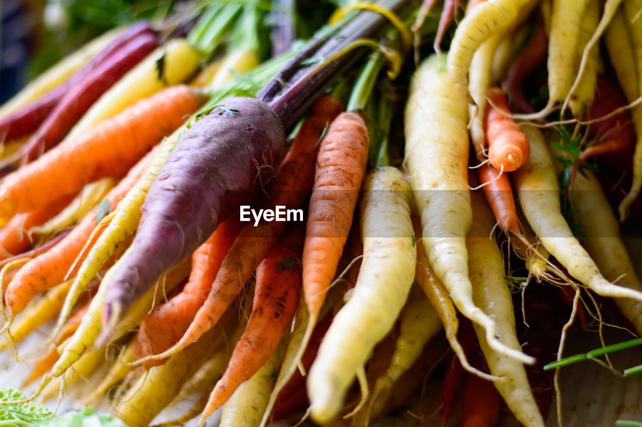 Close-up of carrots