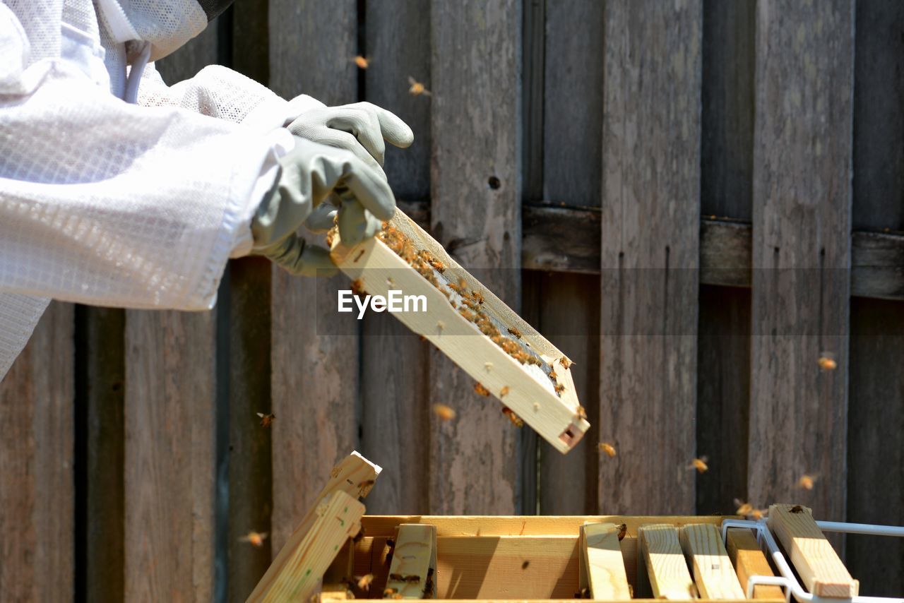 Beekeepers inspecting a young hive pulling out frames and foundations.