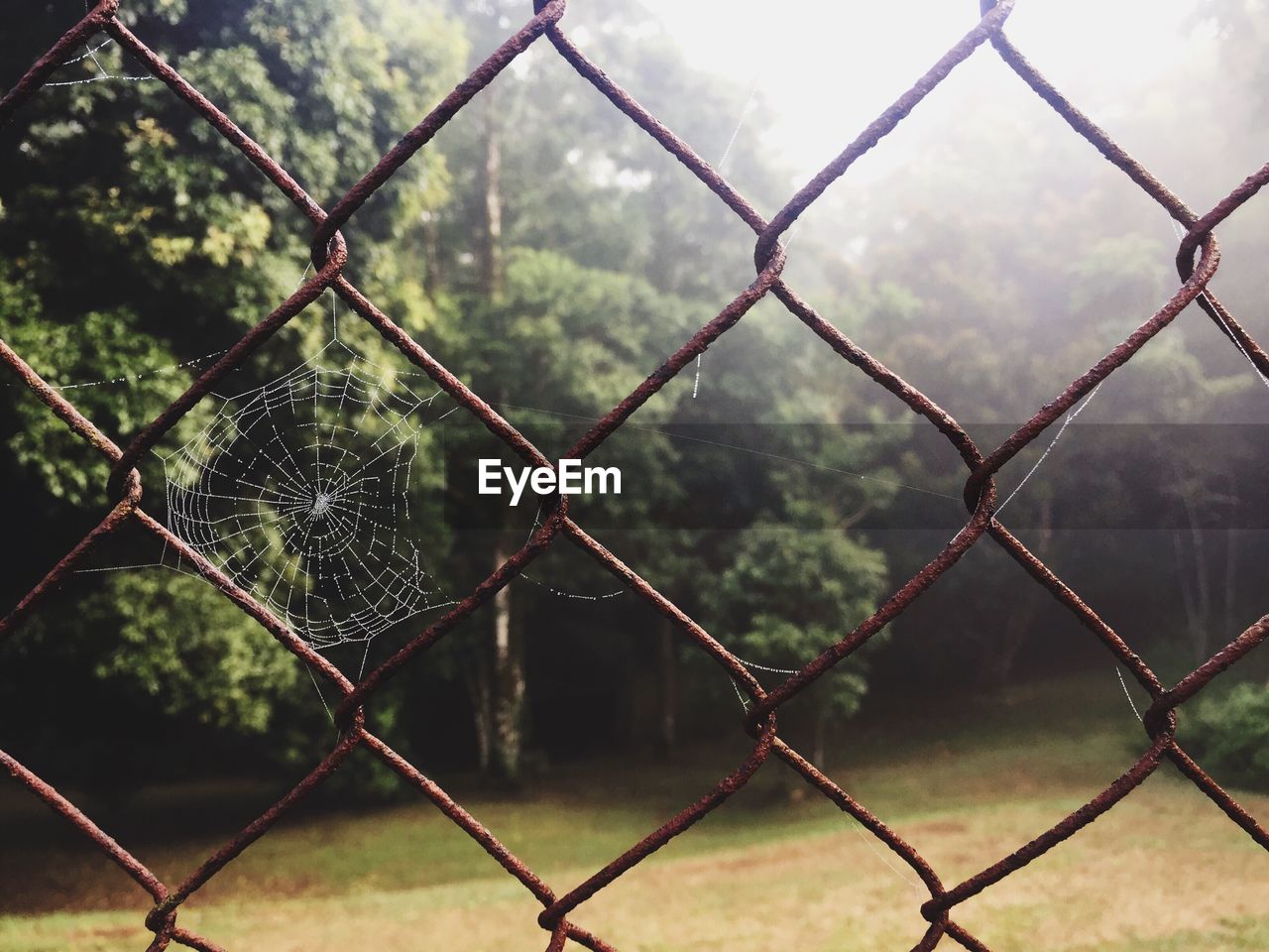 Close-up of spider web on chainlink fence