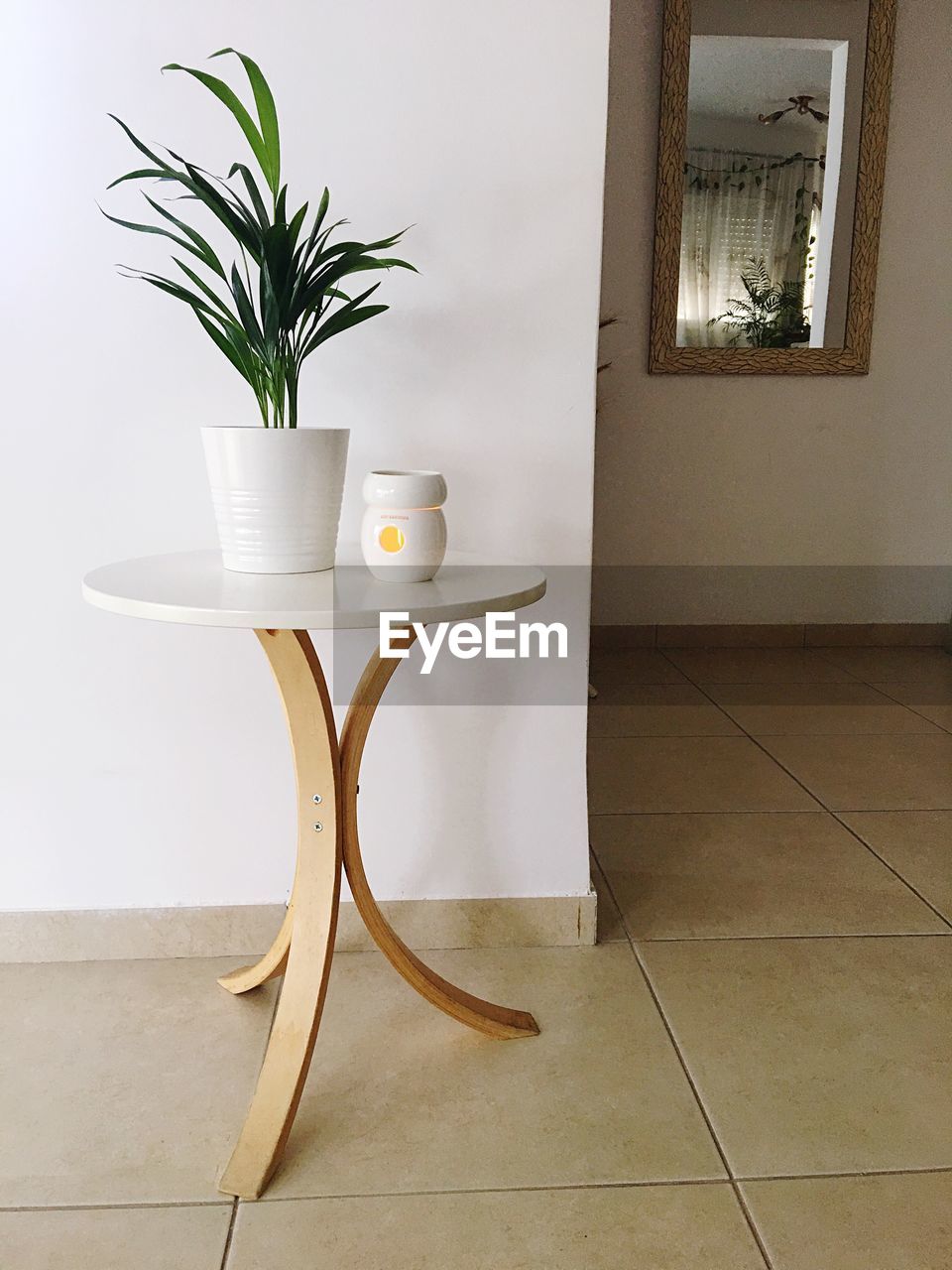 Potted plant with container on table