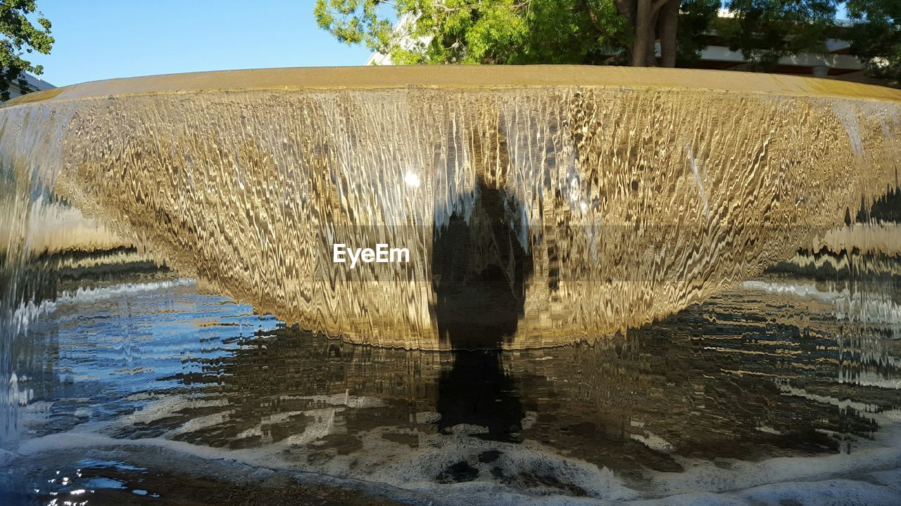 VIEW OF TREES IN WATER