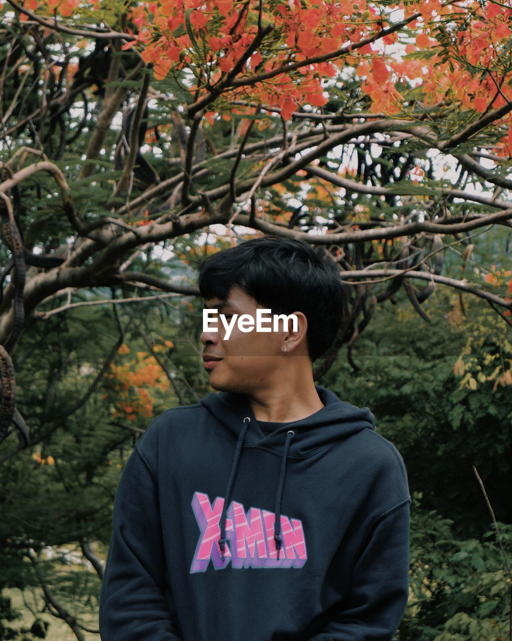 Young man looking away in forest