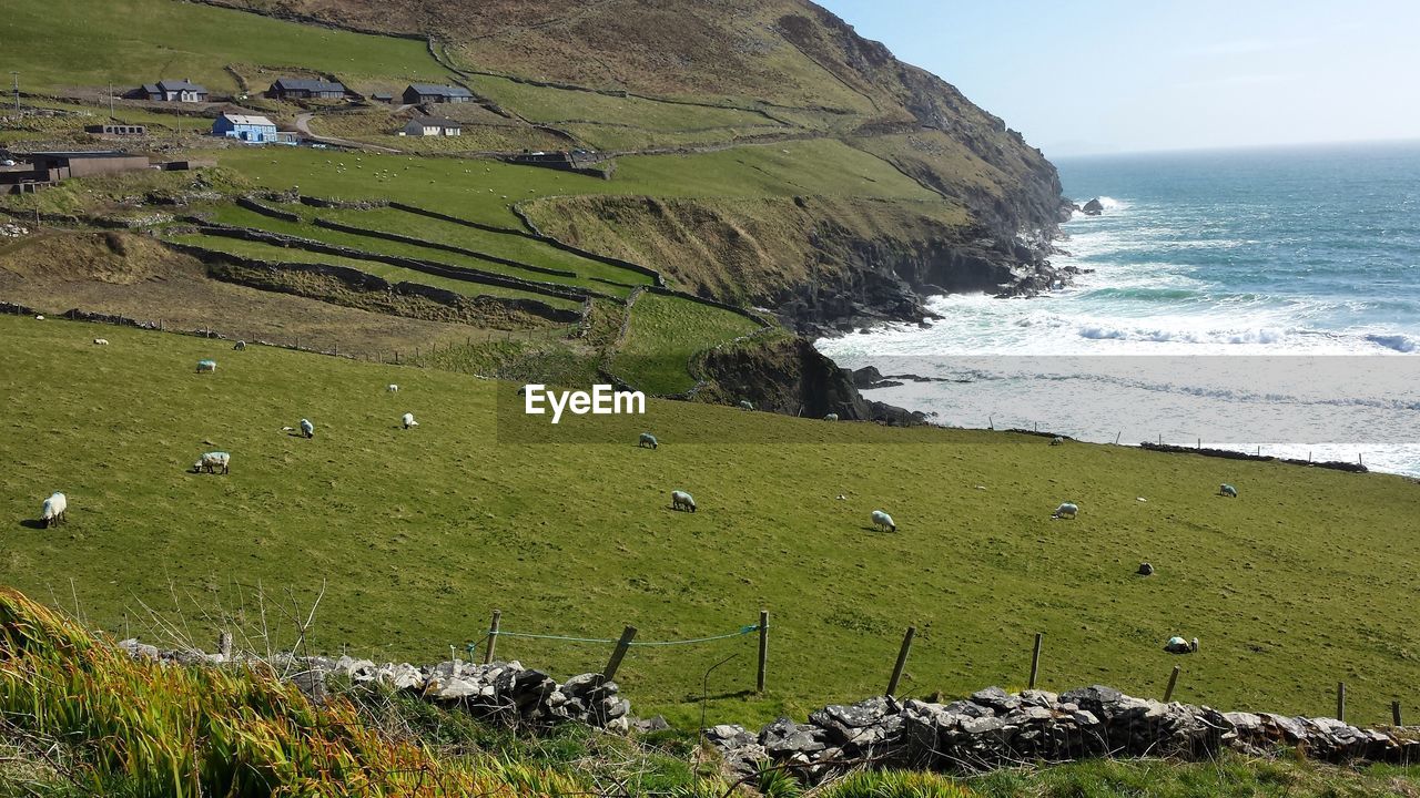 Scenic view of sea shore