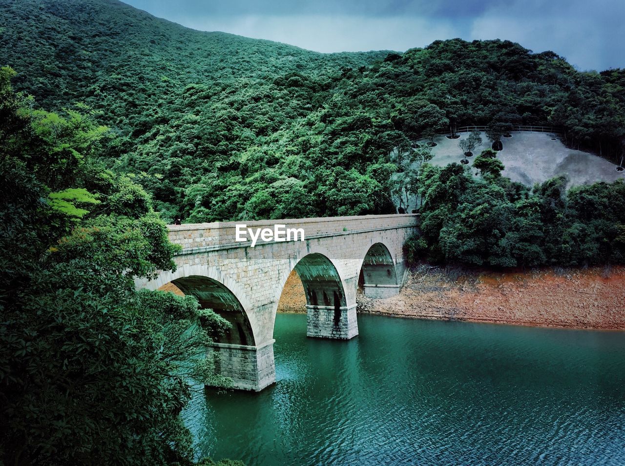 Bridge over river in forest