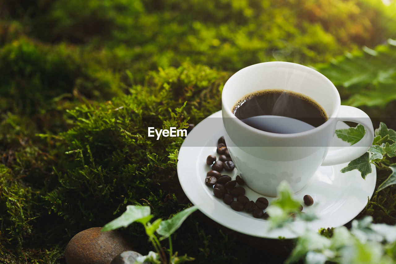 HIGH ANGLE VIEW OF COFFEE AND CUP OF TEA