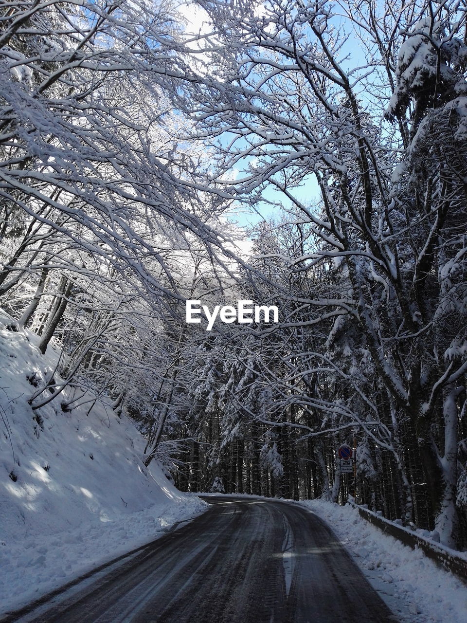 Road amidst bare trees during winter