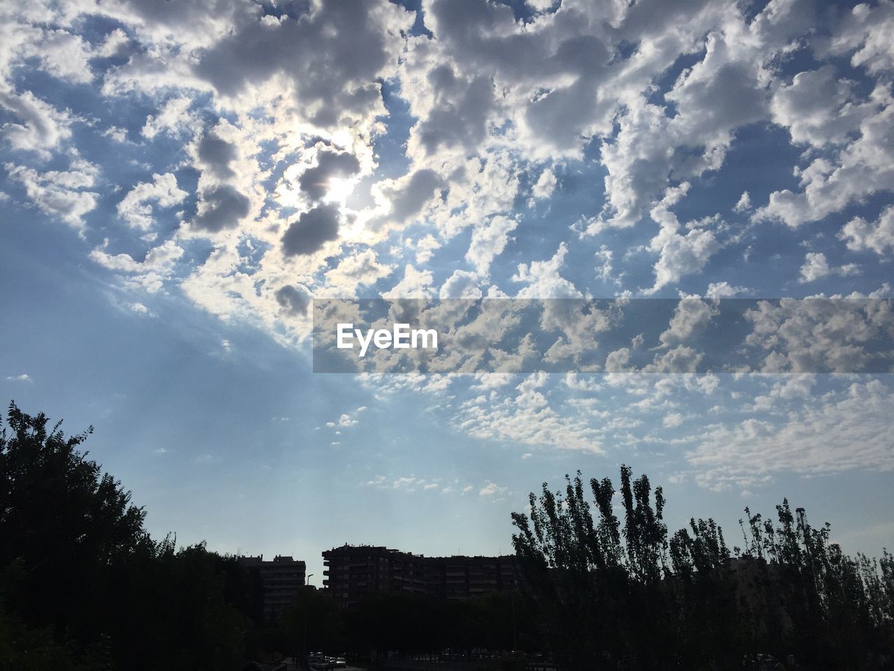 LOW ANGLE VIEW OF TREES AGAINST CLOUDY SKY