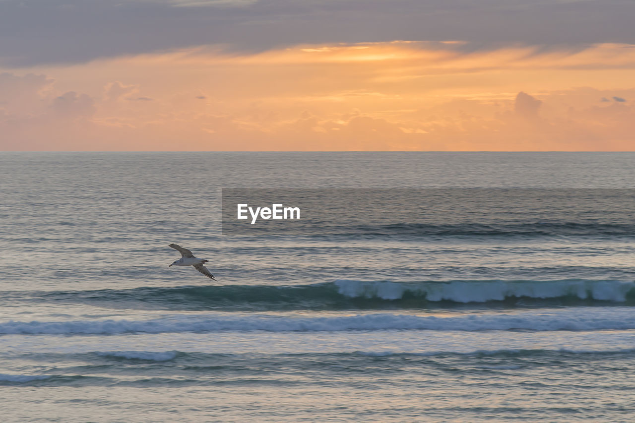 SCENIC VIEW OF SEA AGAINST SUNSET SKY