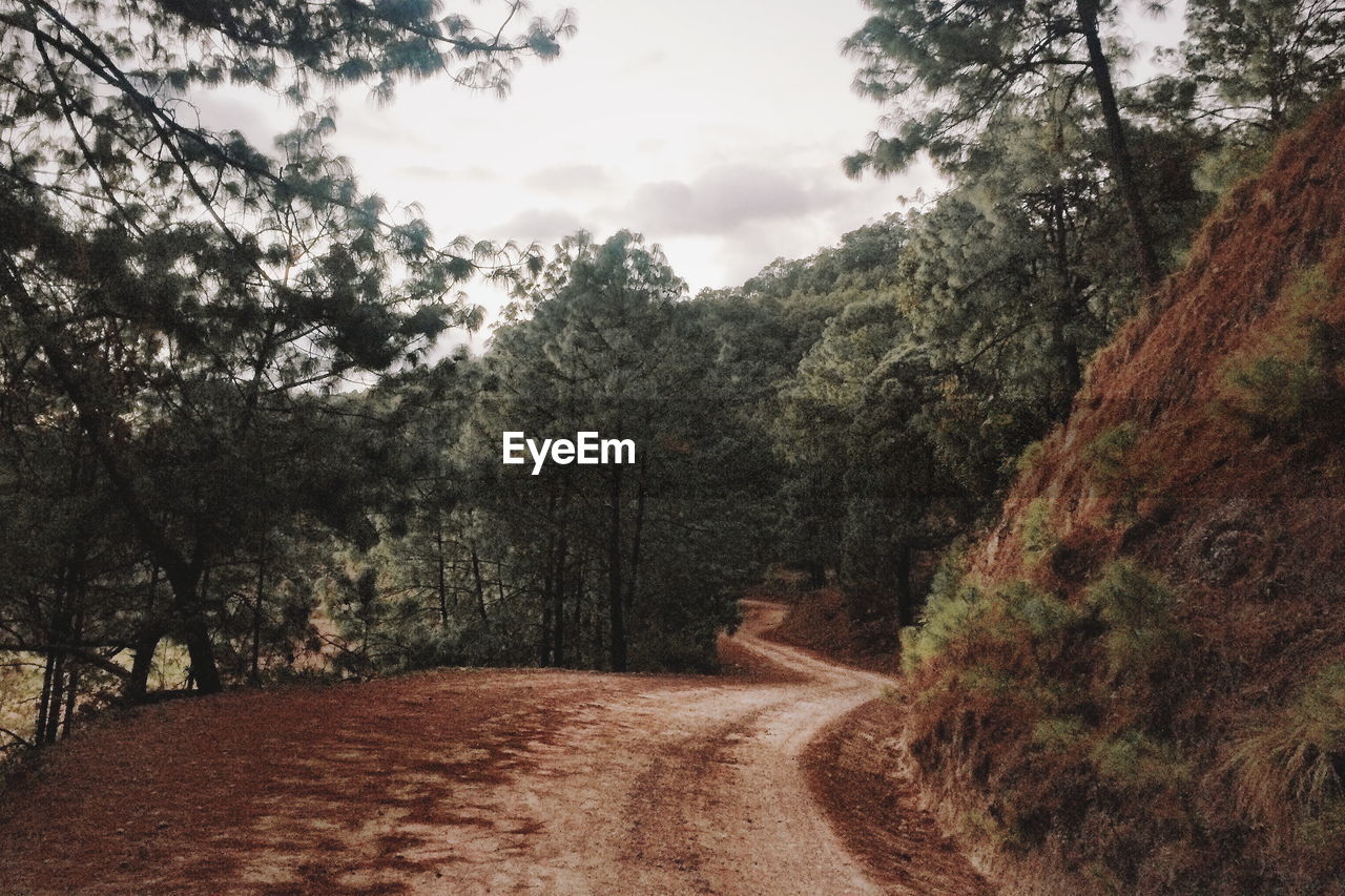 Road amidst trees against sky