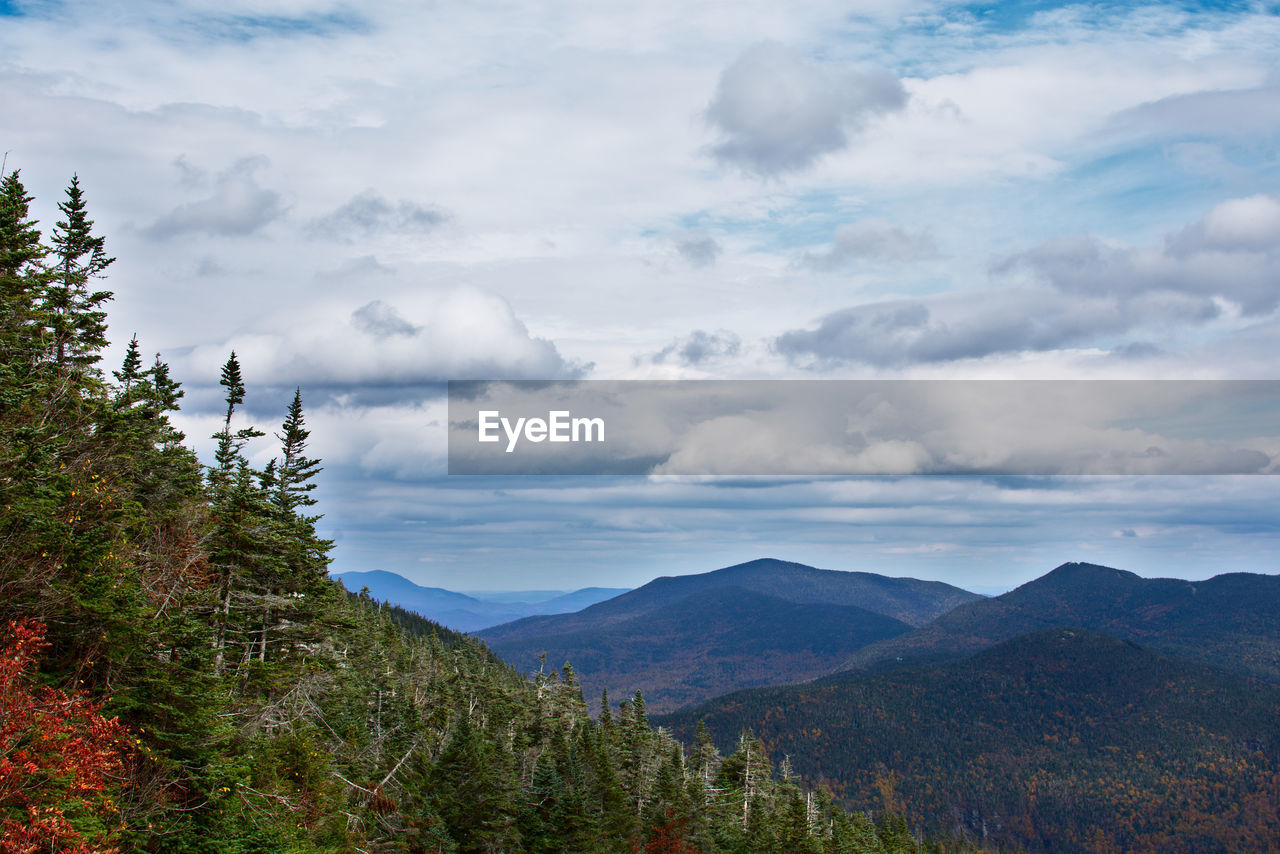 SCENIC VIEW OF TREE MOUNTAINS AGAINST SKY