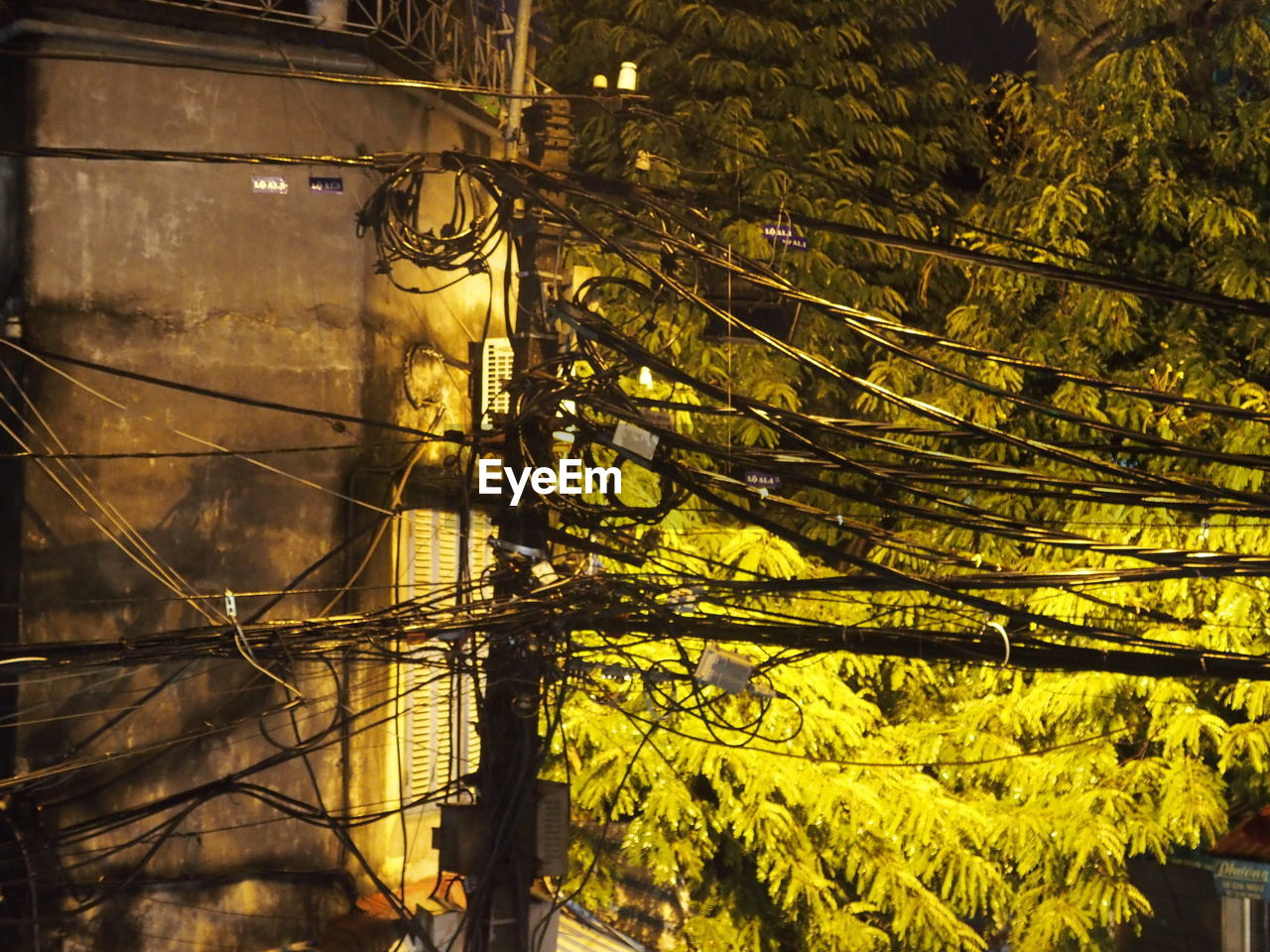 Cables on power line against tree at night