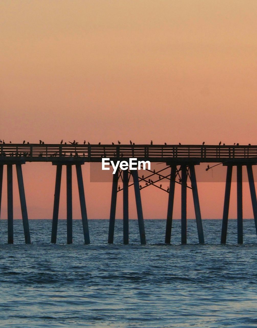 Silhouette birds perching on pier over sea against sunset sky